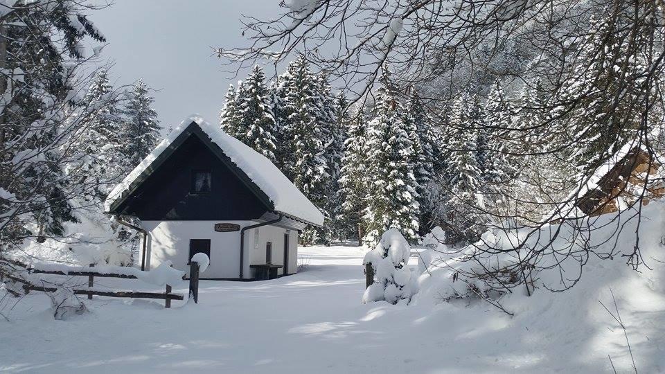 Pocitniska Hisa Ukanc Bohinj Exterior foto
